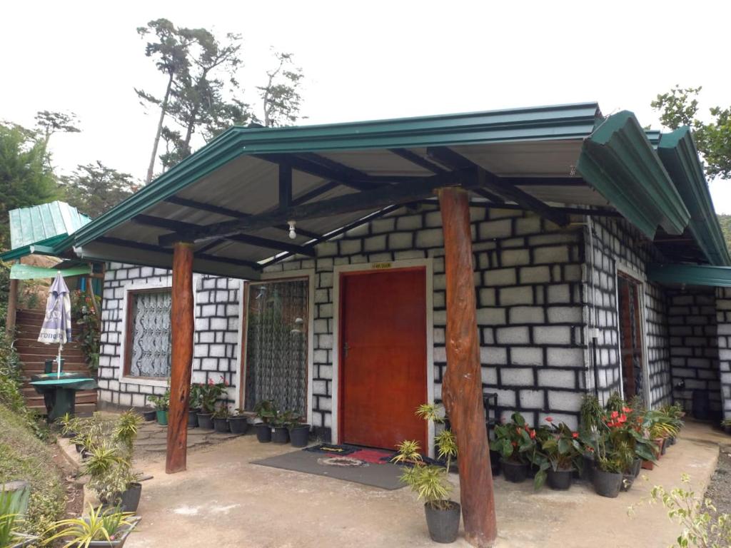 Ohiya Jungle Resort